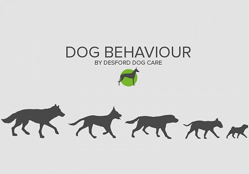 Talking Canine