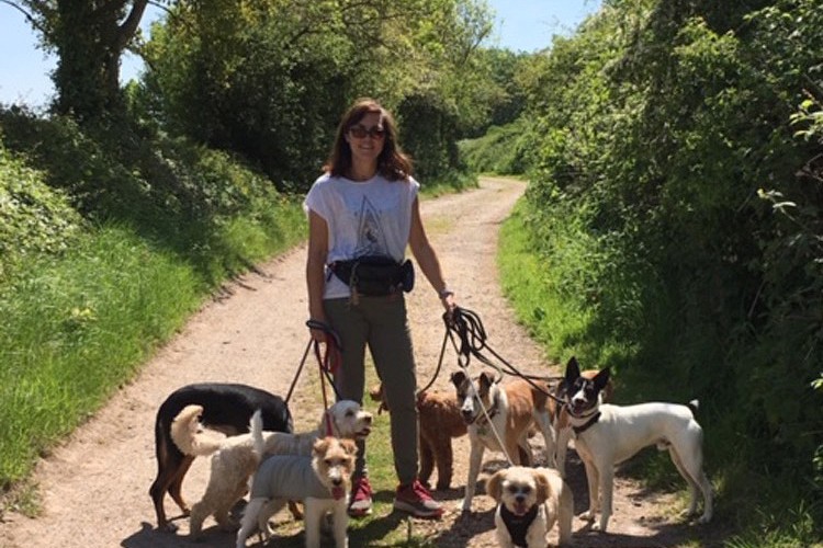 Rachel walking dogs