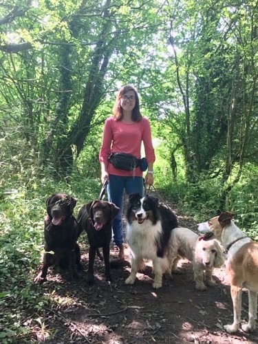 Rachel walking dogs