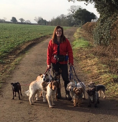 Rachel walking dogs