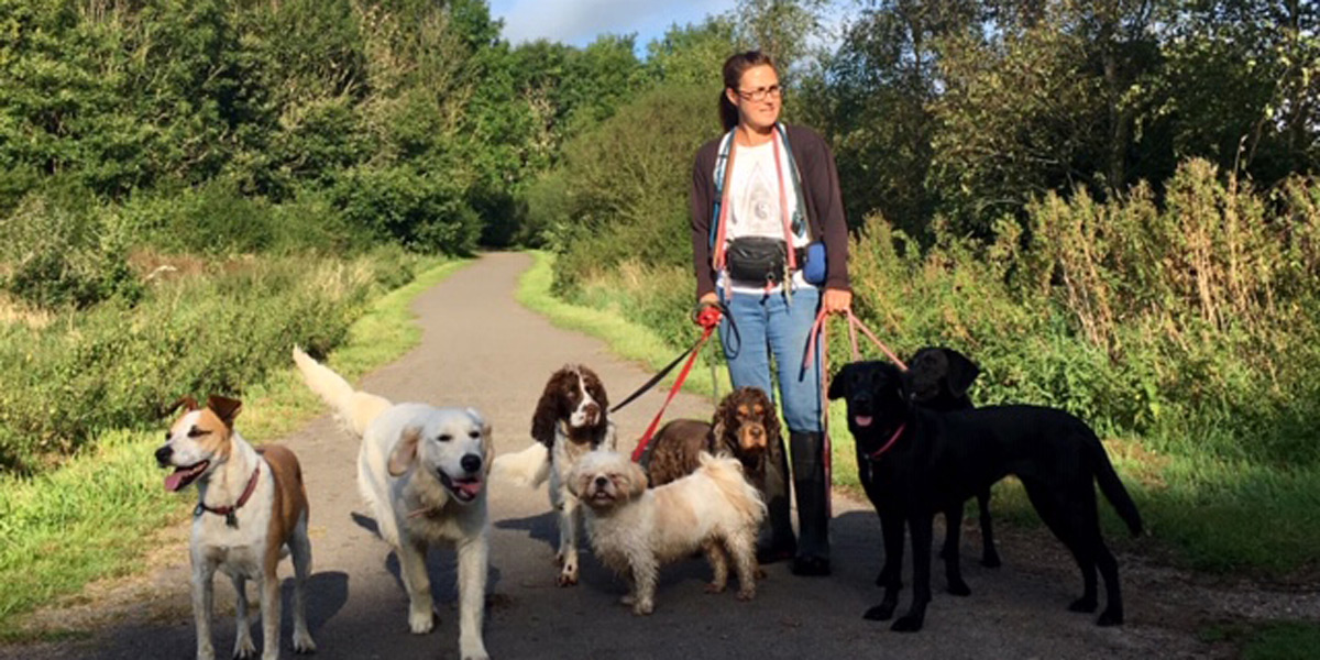 Walking Dogs