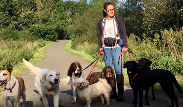 Walking Dogs
